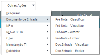 Figura 31: Opções de Documento de Entrada